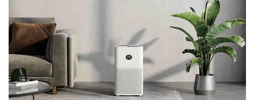 best air purifier for apartments